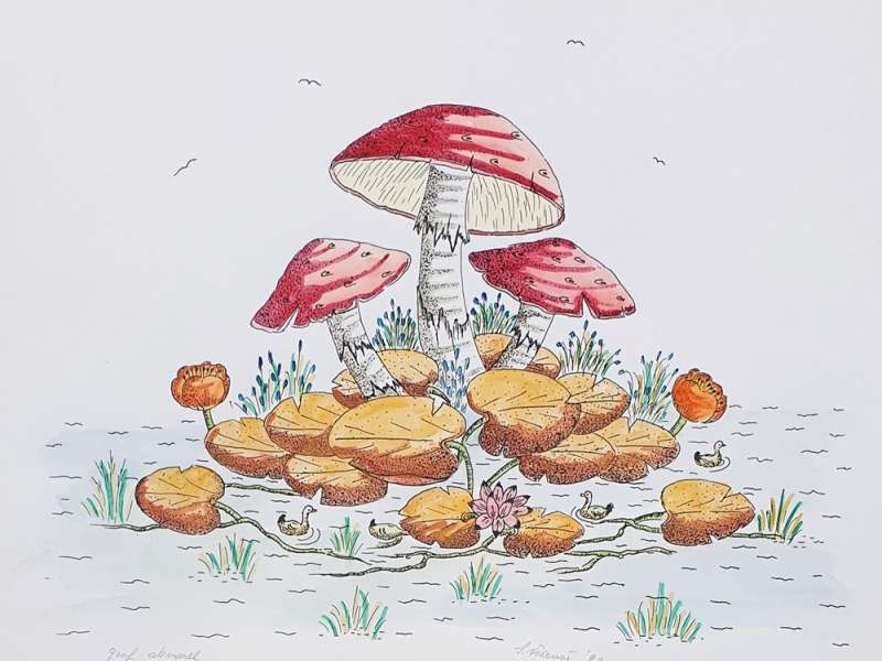 Gljive i patke (bez okvira)