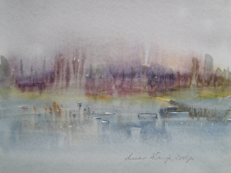 Landscape 207