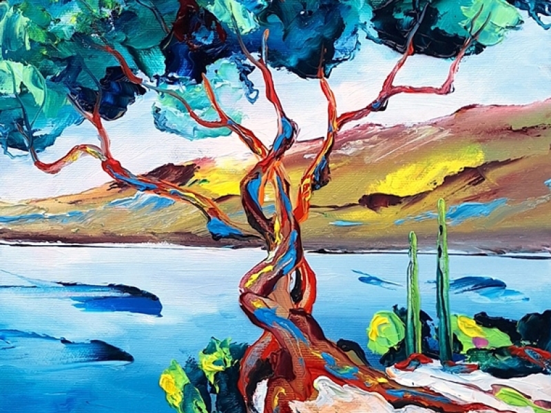 Olive tree 2428