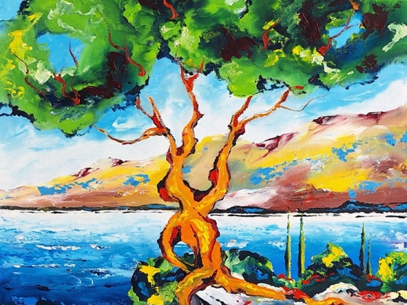 Olive tree 2447