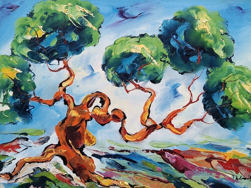 Olive tree 2489