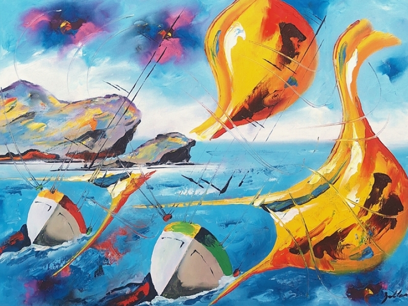 Sails 2557