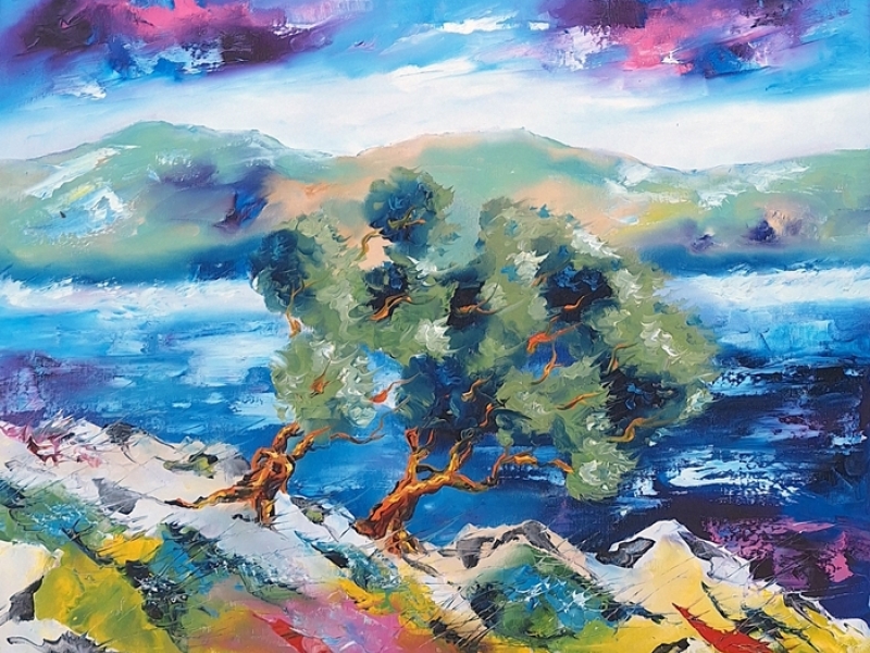Olive trees - storm 2581