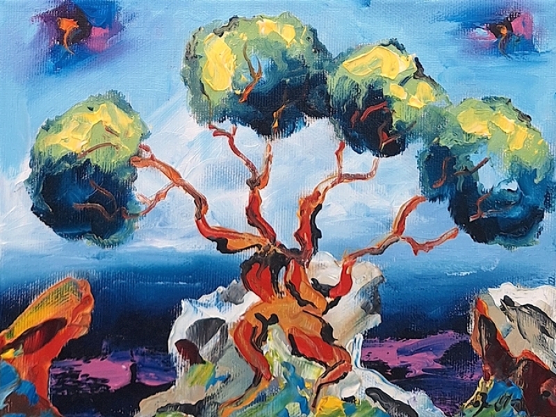 Olive tree 2590