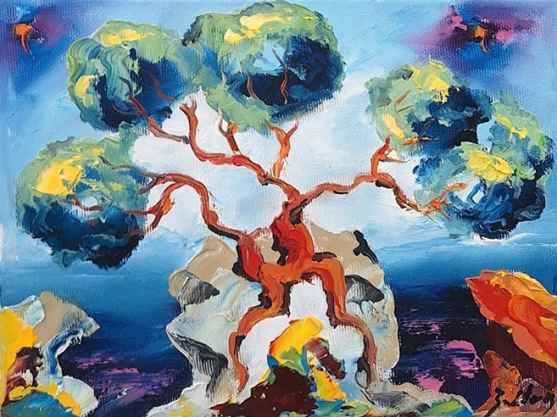 Olive tree 2591