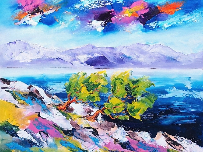 Olive trees - Storm 2598