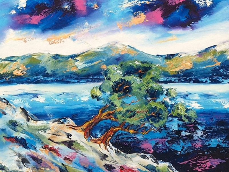 Olive trees - Storm 259M