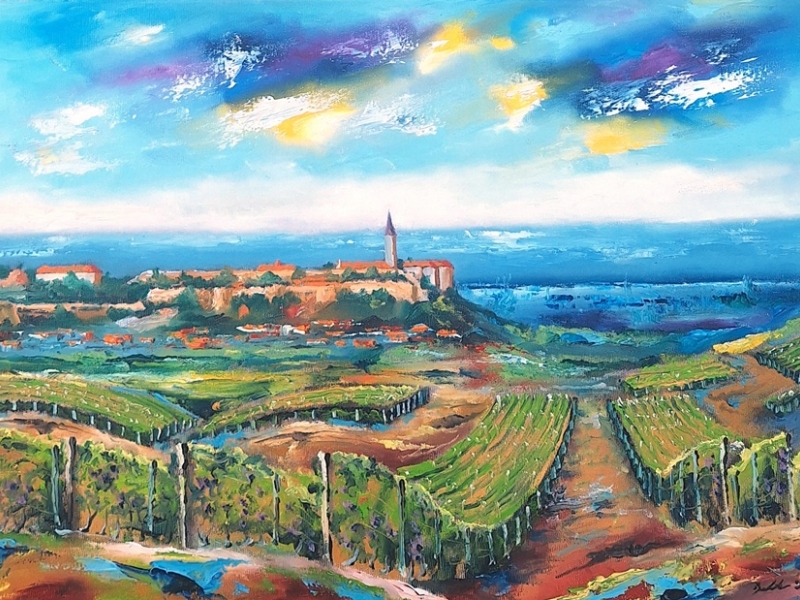 Vineyards 2627