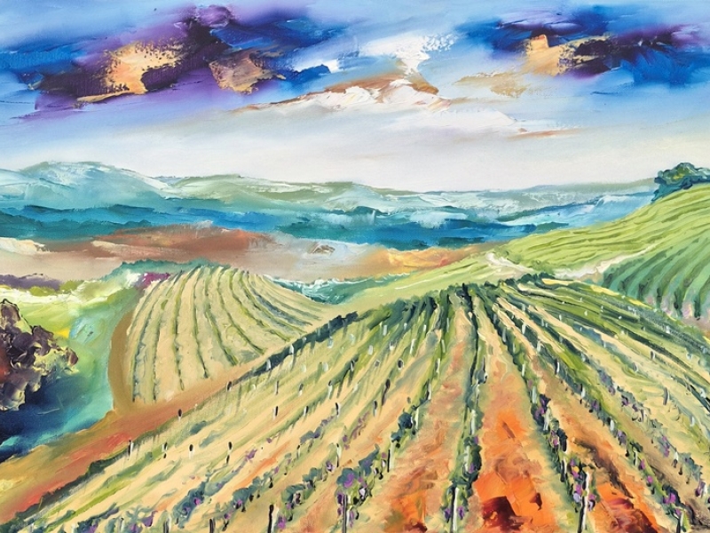 Vineyards 2693