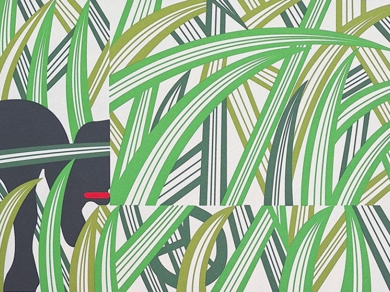 Grass X