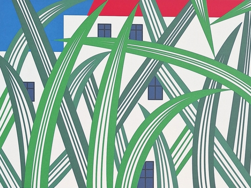 Villa in the grass