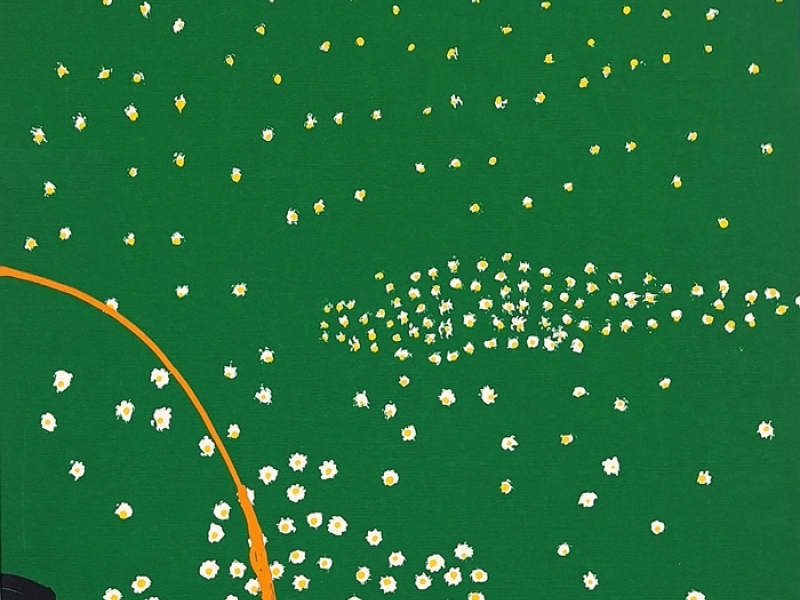 A man in a meadow