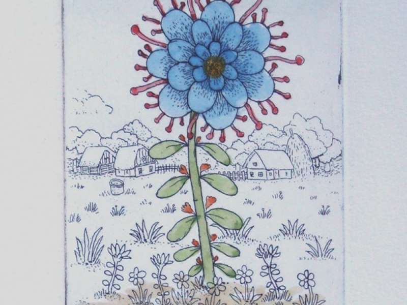 Cvijet u polju (bez okvira)