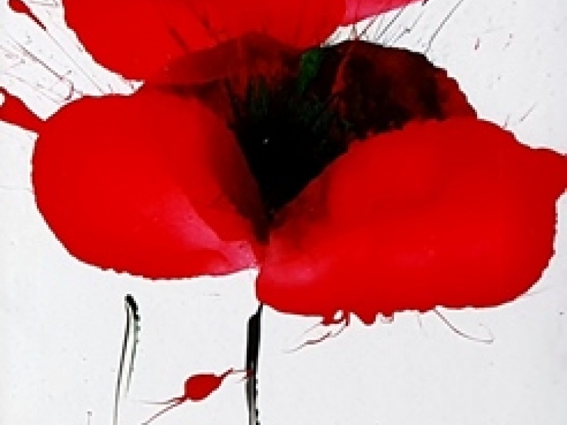 Flowers S