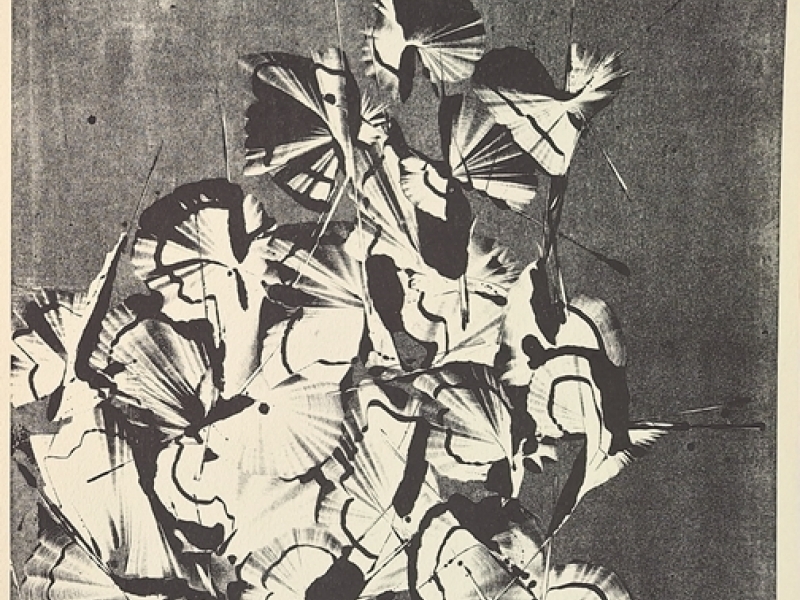 Abstraction G