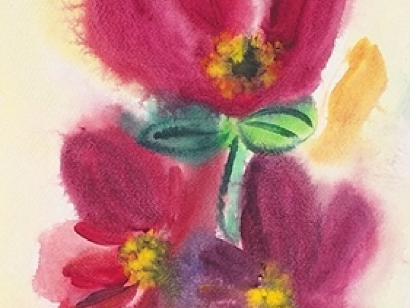 Flowers 2420