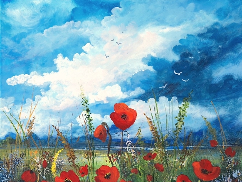 Poppy field 2440