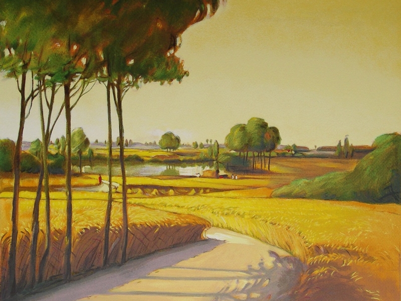 Field