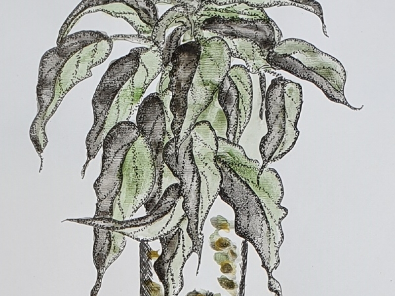 Cvijeće u vazi - Zeleno V (bez okvira)