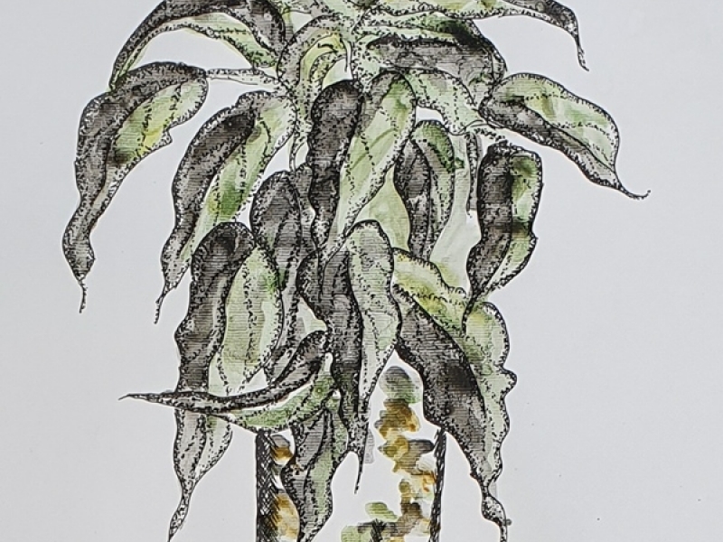 Cvijeće u vazi - Zeleno II (bez okvira)