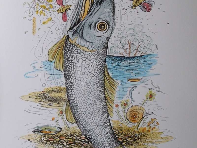 Ribe VIII (bez okvira)