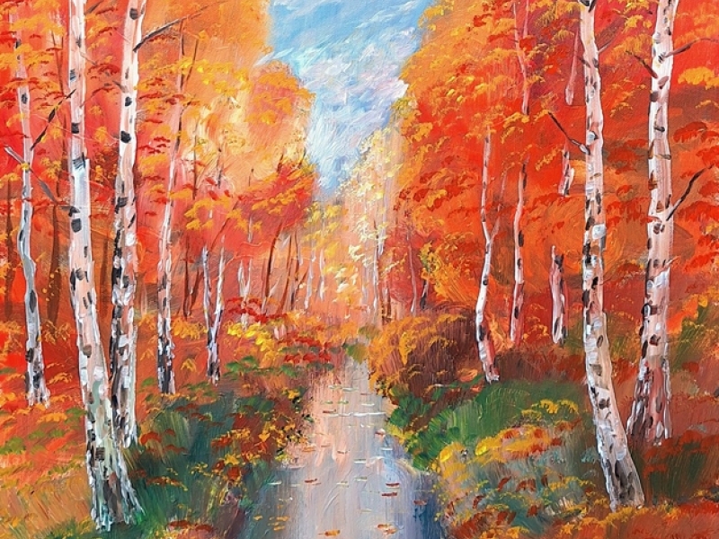 Autumn in forest 2429