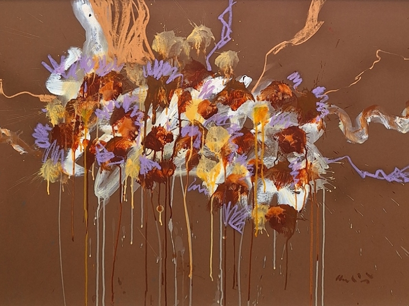 Herbarium pictorium PAP