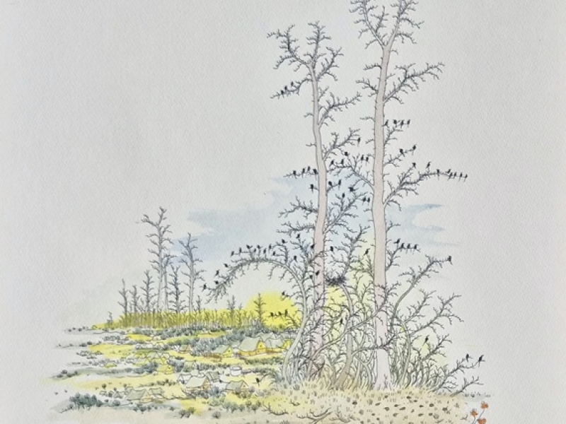 Small forest Z