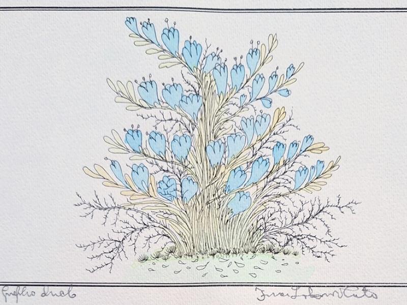 Forget-me-nots PLA PT255