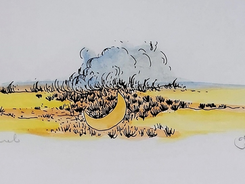 Moon in smoke VII