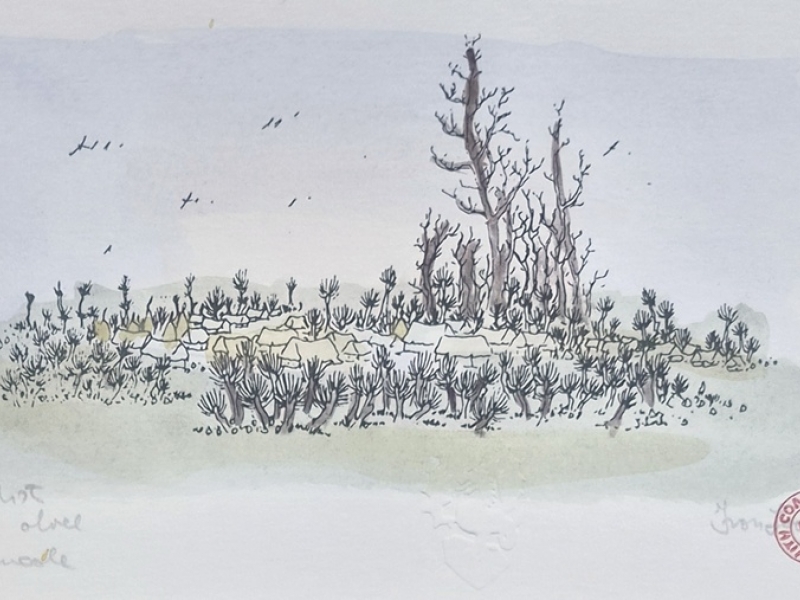 Village II GA