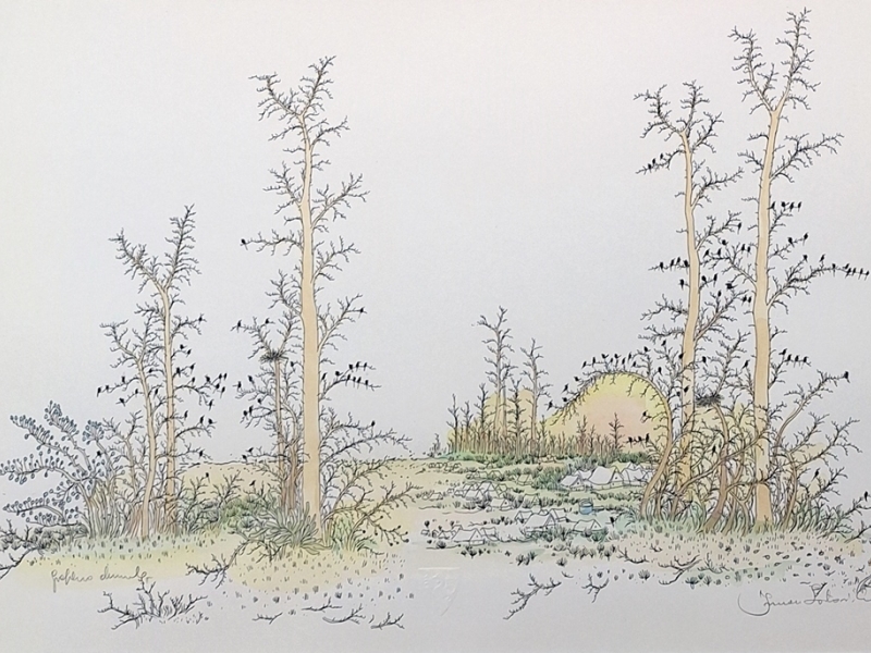Forest