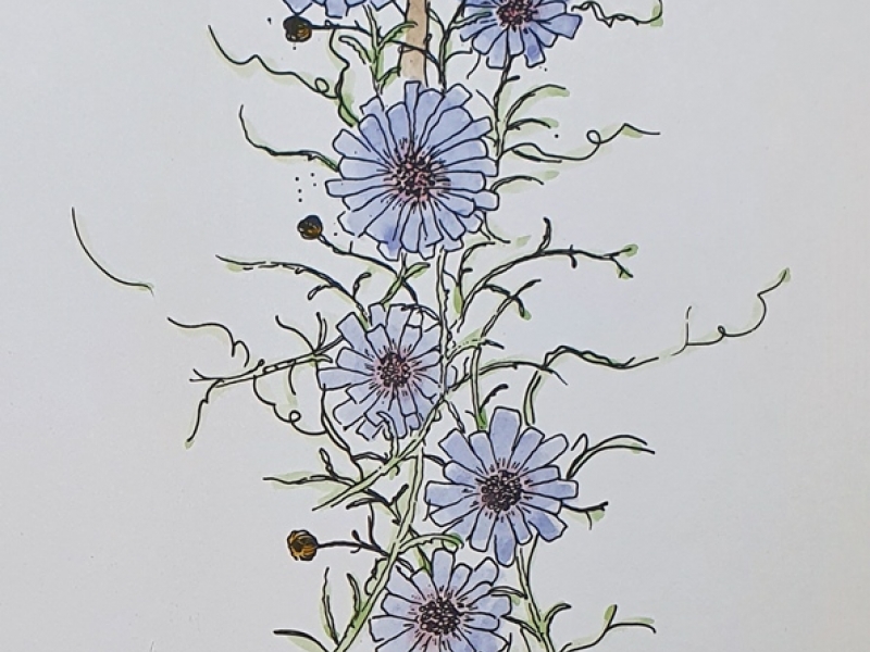 Cvijeće XII (bez okvira)