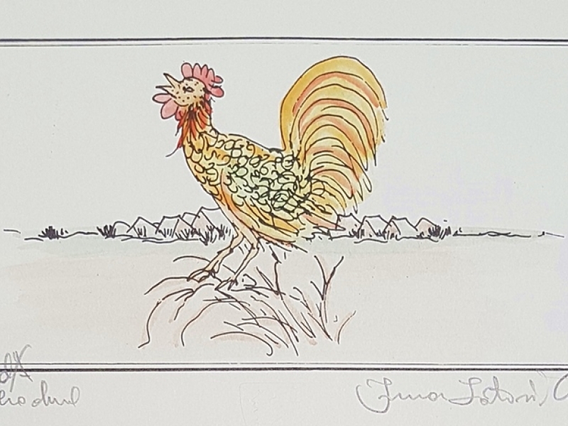 Rooster IX