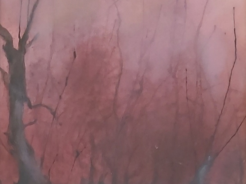 Red landscape