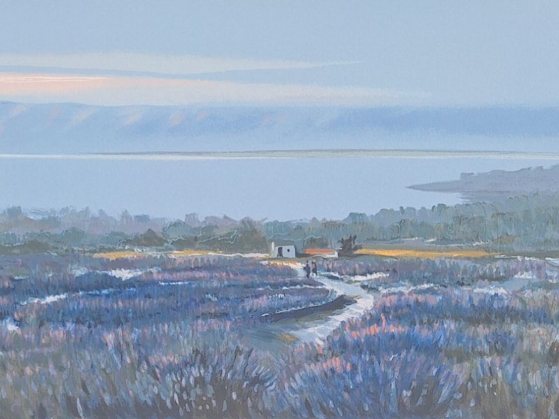 Lavender field G M