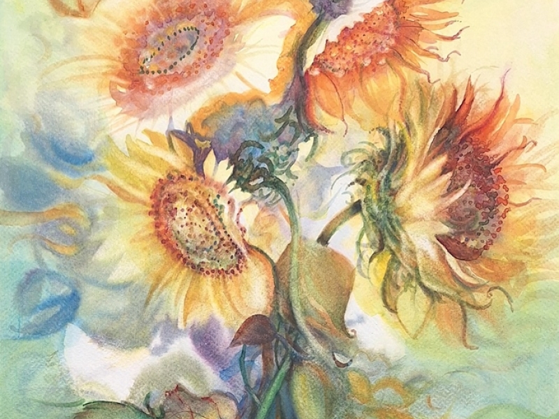 Sunflowers 2415