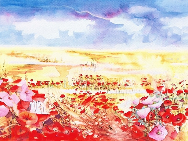 Poppy field 2424
