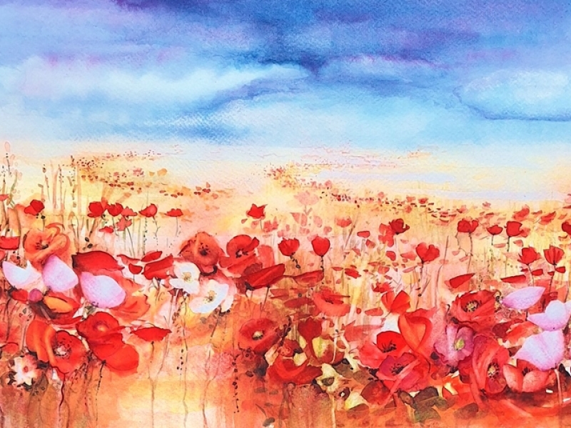 Poppy field 2425