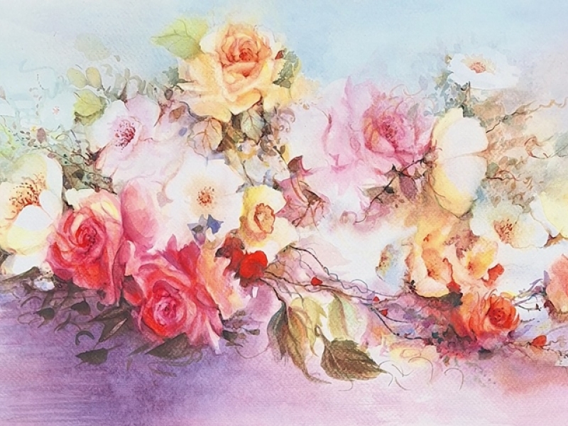 Roses 2429