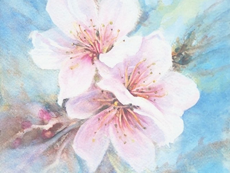 Flowers - Cherry 2607