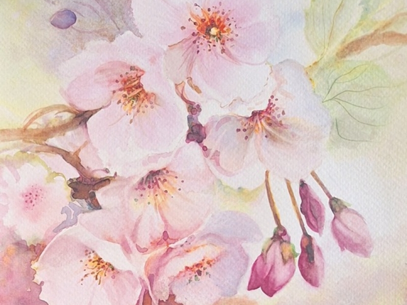 Flowers - Cherry 2608