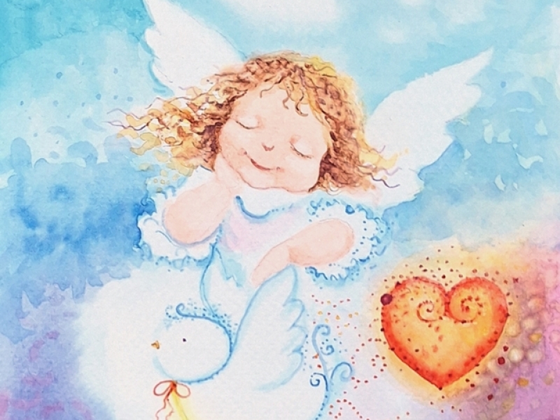Angel A2502