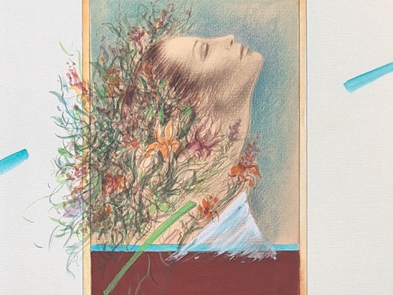 Flora MVCR
