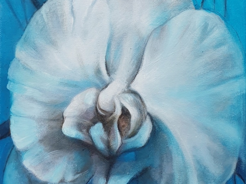 Orhideja u plavom (bez okvira)