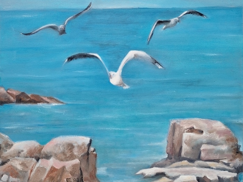 The Mediterranean - Seagulls
