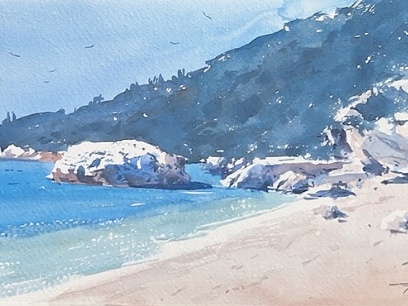 Sea landscape - 2506