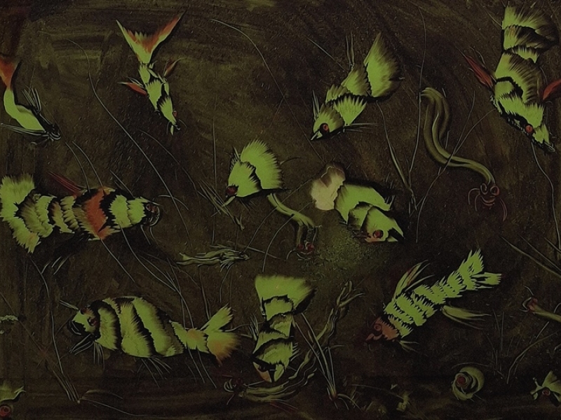 School of fish