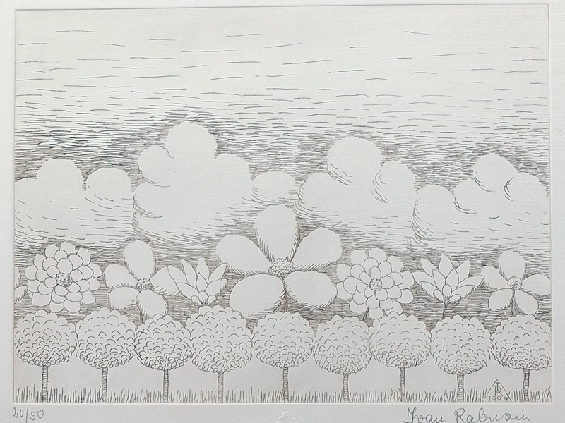 Flowers - B - 5