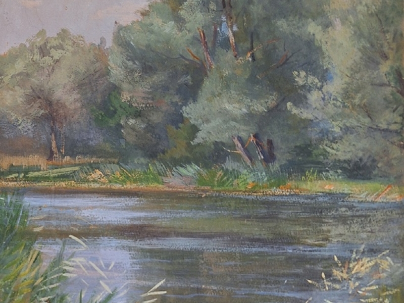 Forest landscape Z
